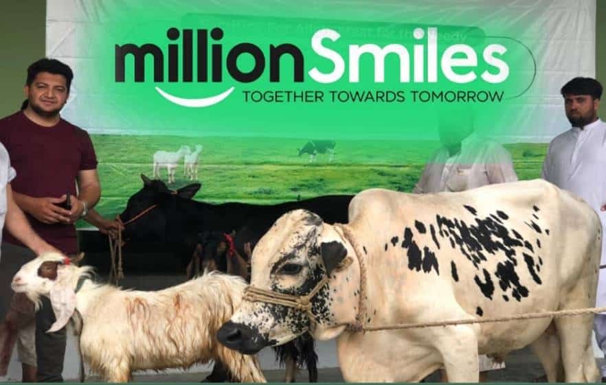 SMAILE FOUNDATION