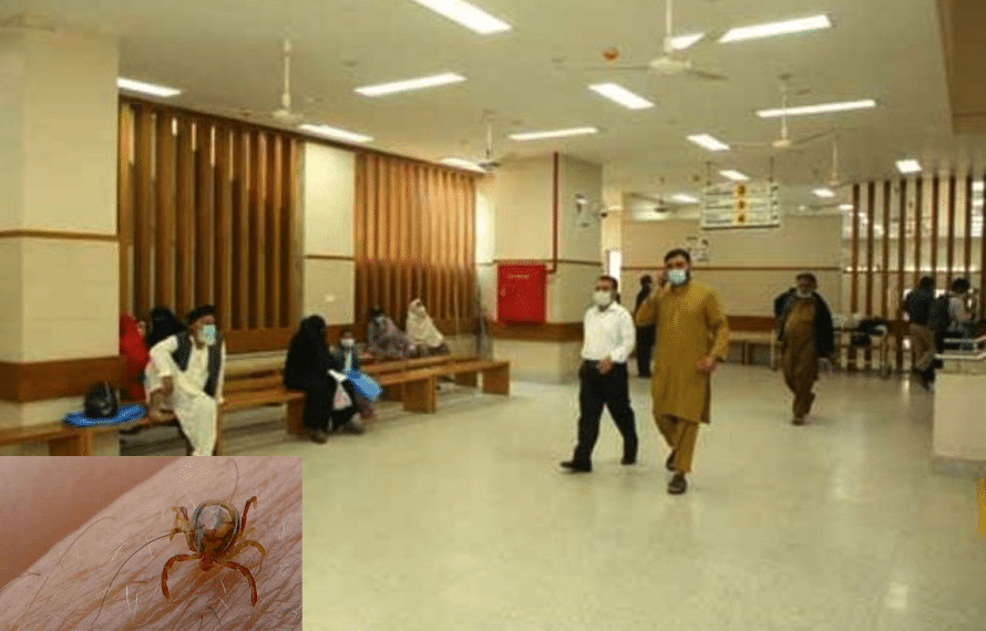 جناح اسپتال کے دو ڈاکٹرز کانگو وائرس کا شکار، مریض کا علاج مہنگا پڑگیا