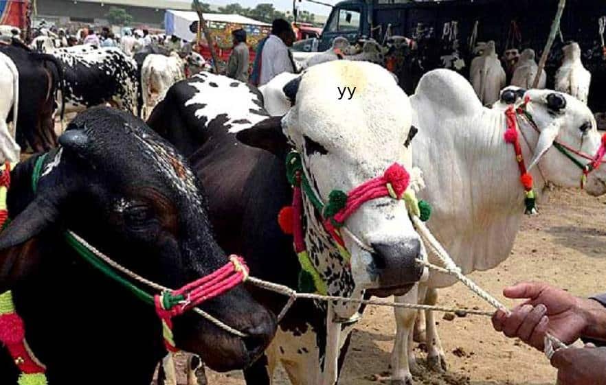 eid