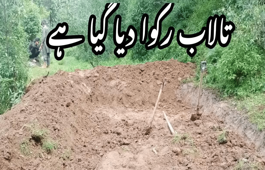 محکمہ جنگلات