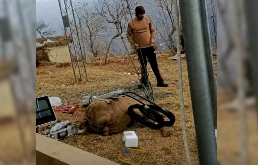 حویلی: موبائل سروس کی بہتری کیلئے ایس سی او حکام نے بڑا اقدام اٹھا لیا