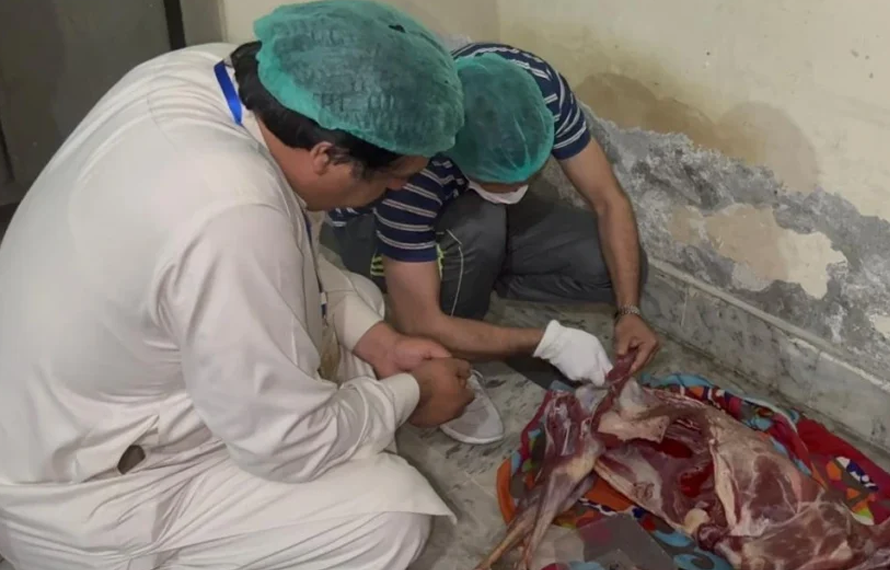 فوڈ اتھارٹی