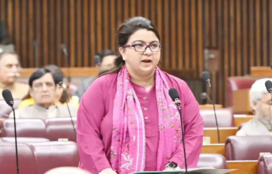 سرکاری ملازمین کے لیے ‘پاک آواز’منصوبے کی منظوری