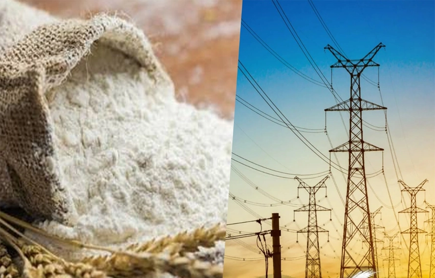 بجلی اور آٹے پر سبسڈی خاتمے کی خبریں بے بنیاد قرار