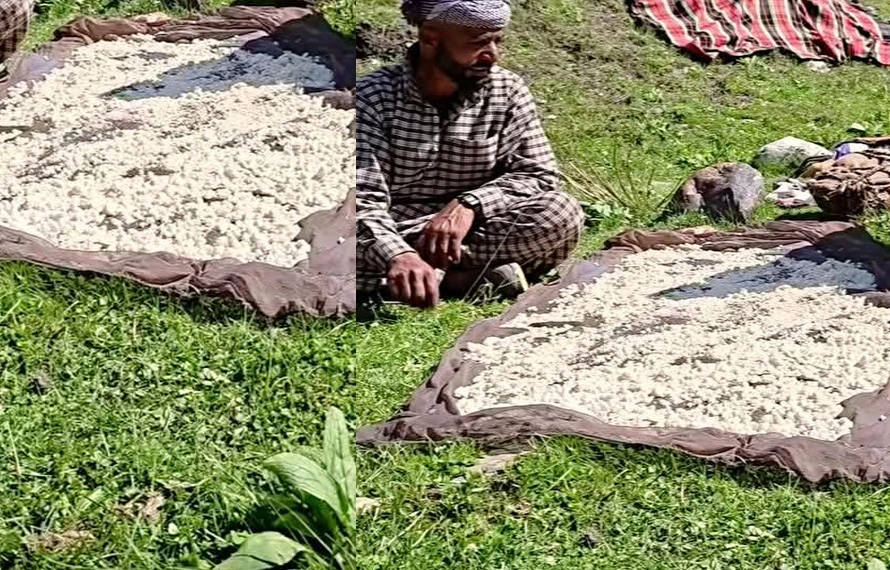 لسی سے تیار کُڑان، وٹامنز ، پروٹین سے بھرپورخوراک ،شوگر کے مریضوں کیلئے شفاء