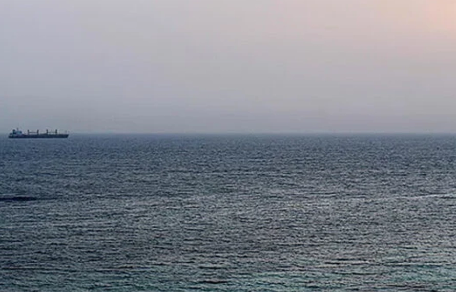 پاکستانی