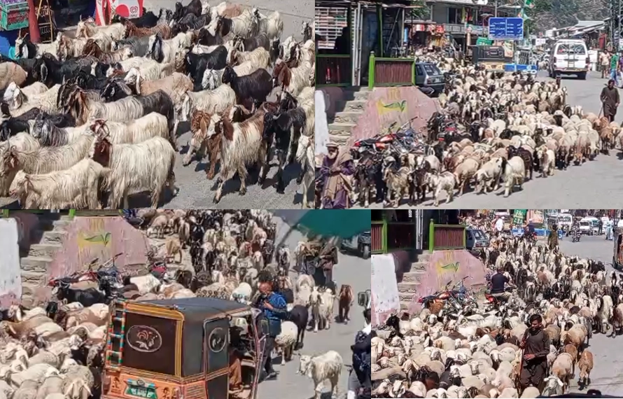 وادی نیلم،پہاڑوں پر سردی کا راج ،بکروالوں نے ڈیرے سمیٹ لئے ، واپسی شروع
