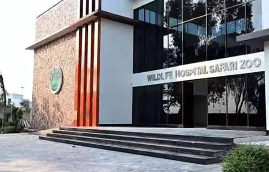 پاکستان میں پہلا وائلڈ لائف اسپتال قائم، جدید سہولیات دستیاب