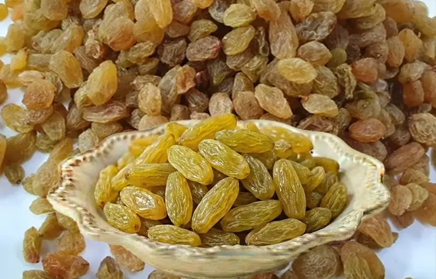 کشمش کے 7 اہم طبی فوائد اور استعمال کا صحیح طریقہ