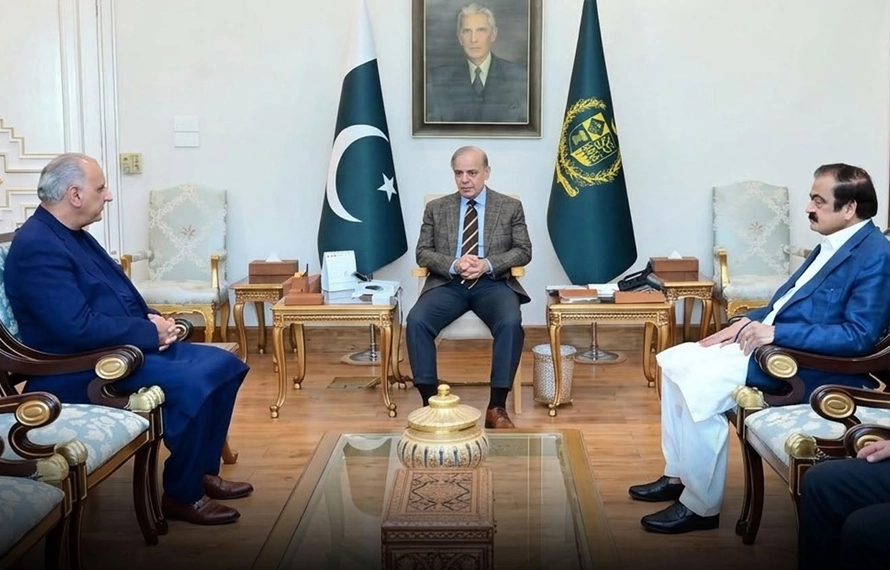 وزیراعظم شہبازشریف سے ڈاکٹر نجیب نقی کی ملاقات،مسئلہ کشمیر پرحمایت کا اعادہ