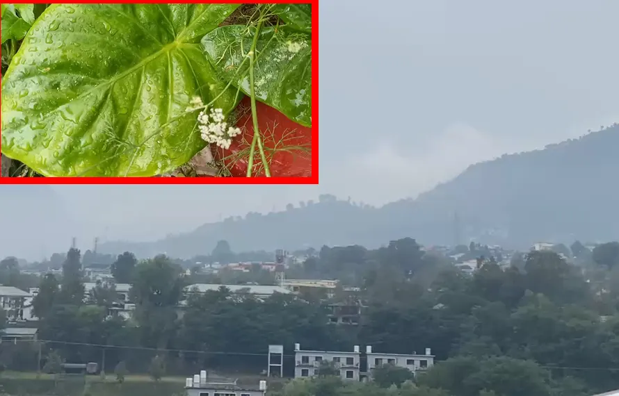 مظفرآباد میں وقفے وقفے سے بارش، محکمہ موسمیات کی پیشگوئی سامنے آ گئی