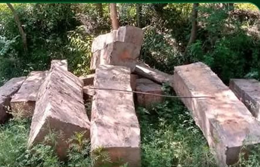 ٹمبر مافیا کے گرد گھیرا تنگ،غیر قانونی لکڑی سے لدی سوزوکی ضبط، 49 تختے برآمد