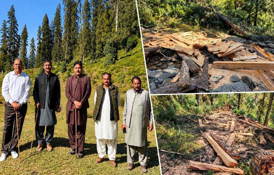 چکار، نون بگلہ جنگل سے درختوں کی کٹائی پر سیکرٹری جنگلات جائزہ لینے پہنچ گئے، سخت کارروائی کی ہدایت